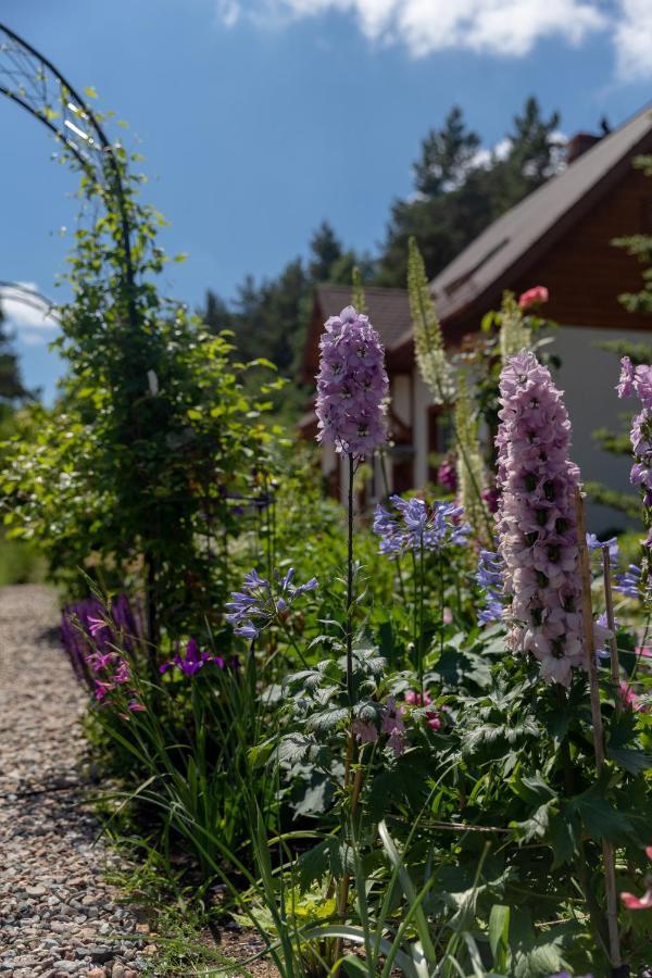 Cottage On The Hill Kielno Exterior foto